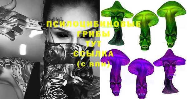 метадон Алексин